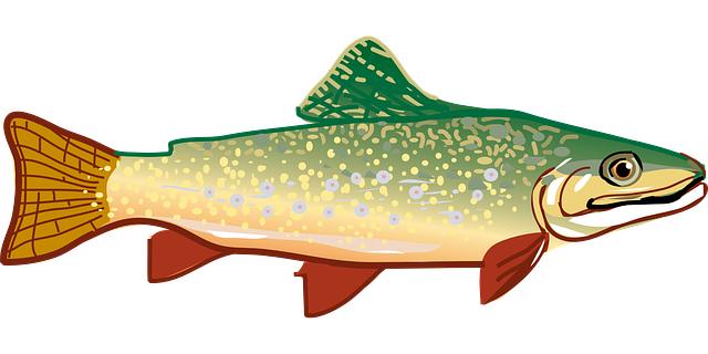 trout, fish, rainbow trout, animal, icon, fish icon, trout icon, cut out, nature, digital art, digital artwork